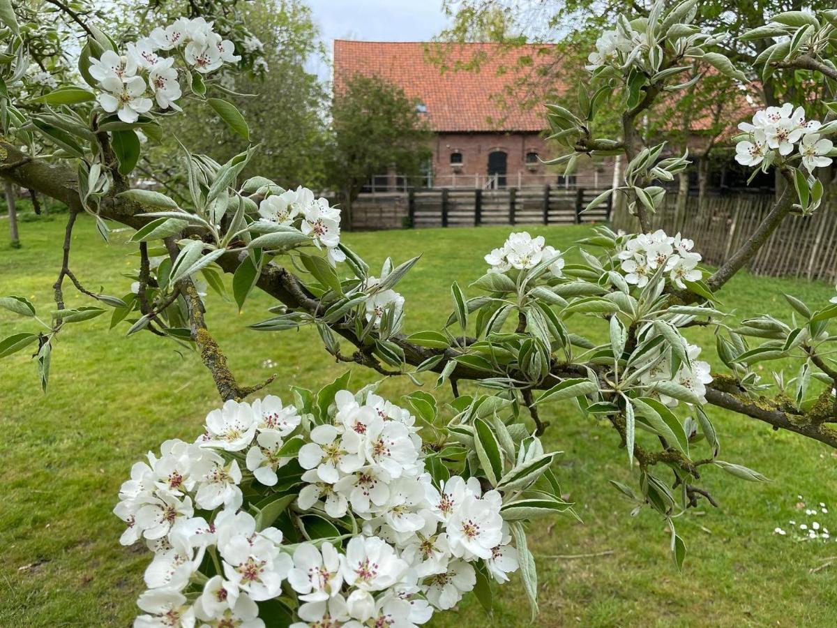 De Zeeuwsche Hoeve Kerkwerve Exterior photo