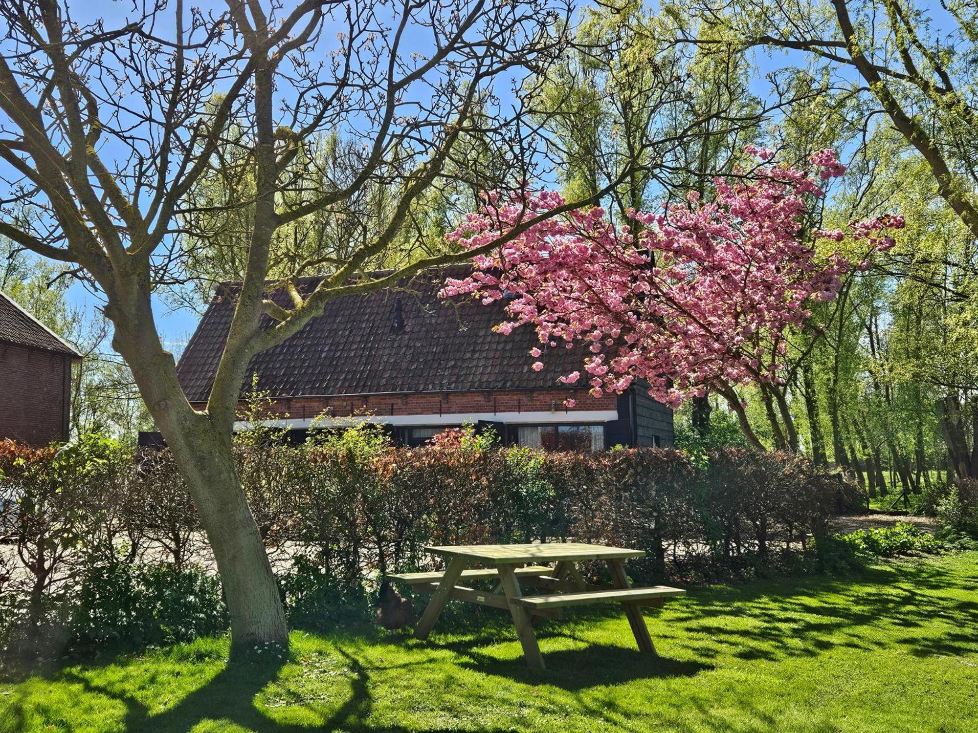 De Zeeuwsche Hoeve Kerkwerve Exterior photo