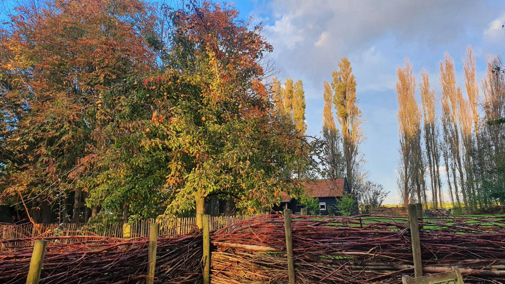 De Zeeuwsche Hoeve Kerkwerve Exterior photo